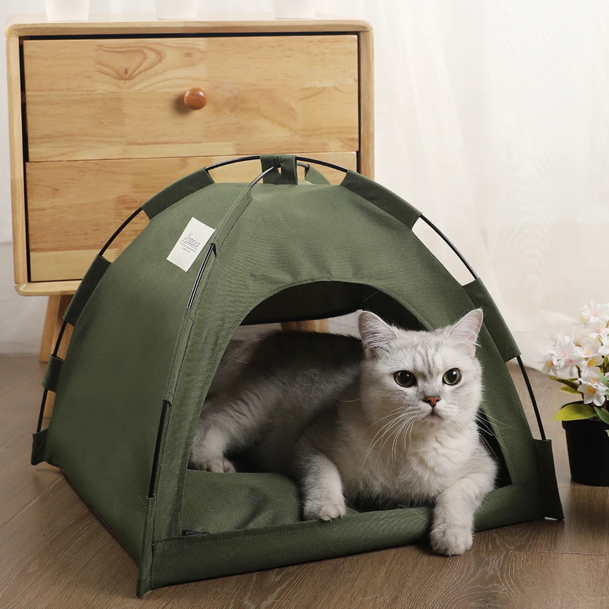 Purr Tent