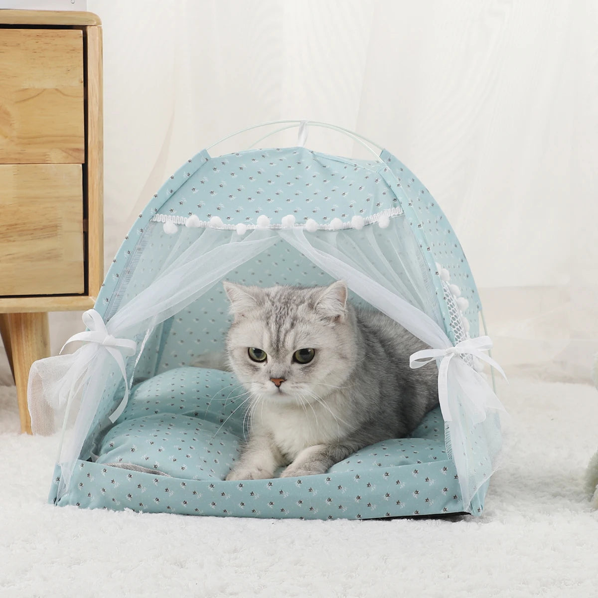 Purr Tent