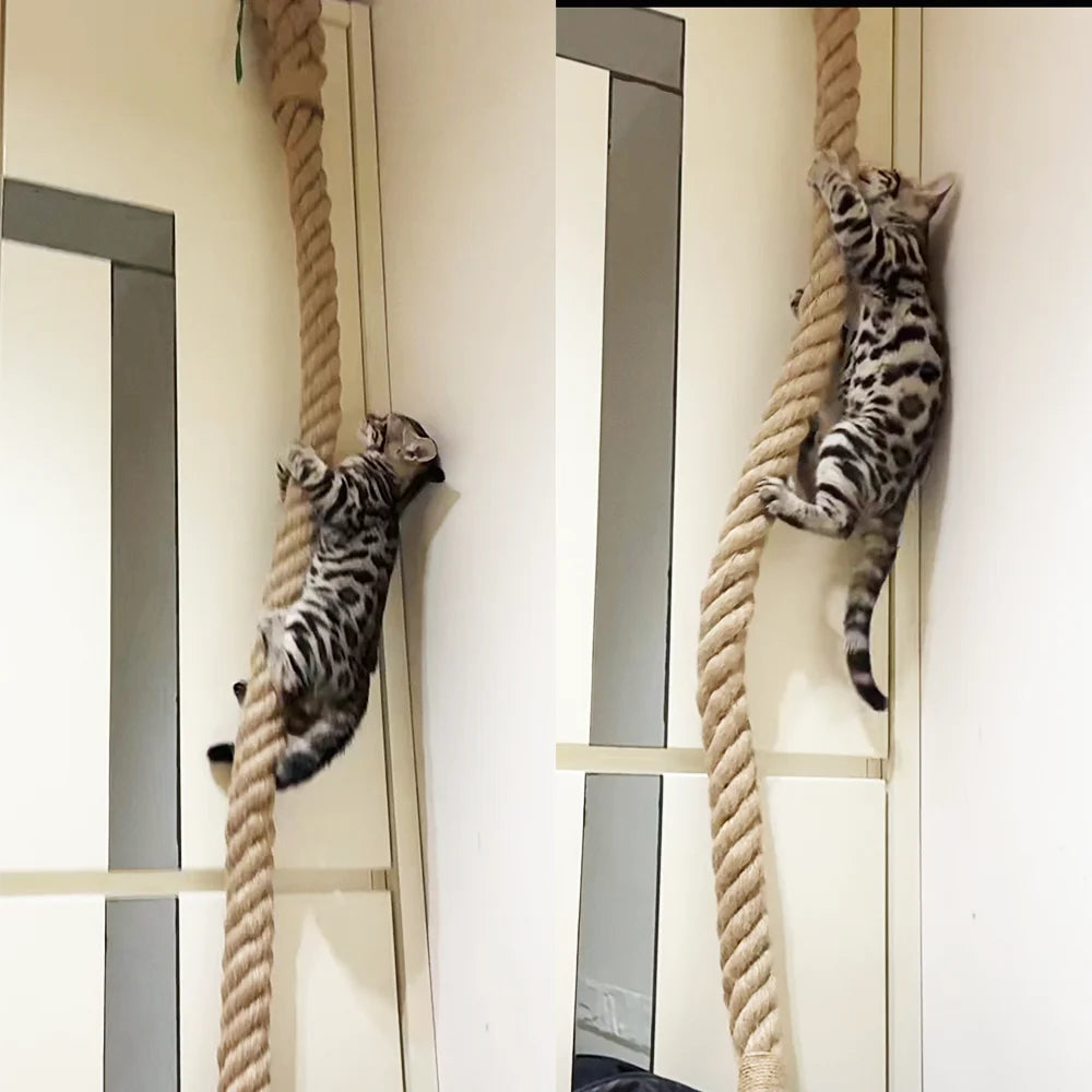 Climb Rope