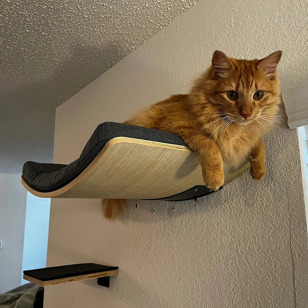 Cat Loft