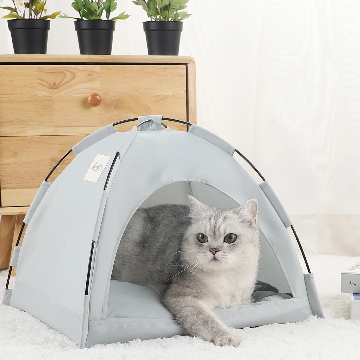 Purr Tent