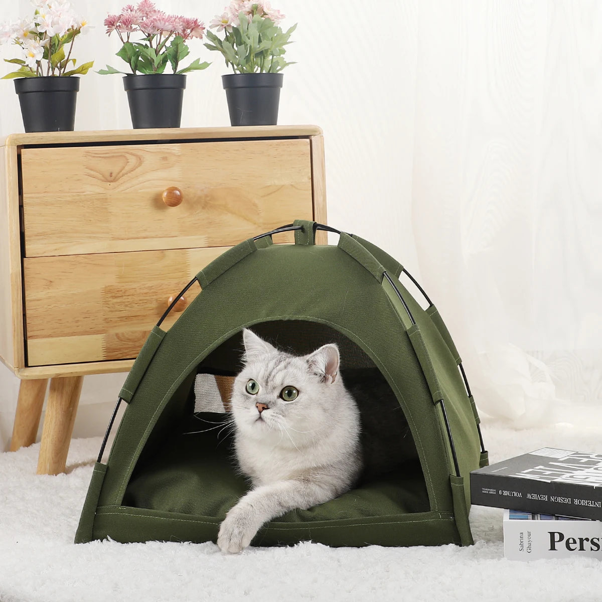 Purr Tent